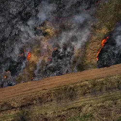 March 2021 (Shaker Village of Pleasant Hill)